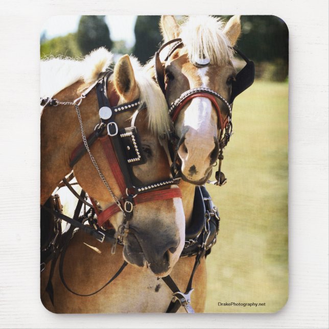 Tapis De Souris Deux Chevaux belges (Devant)
