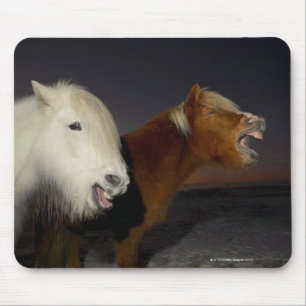 Tapis De Souris Deux chevaux islandais