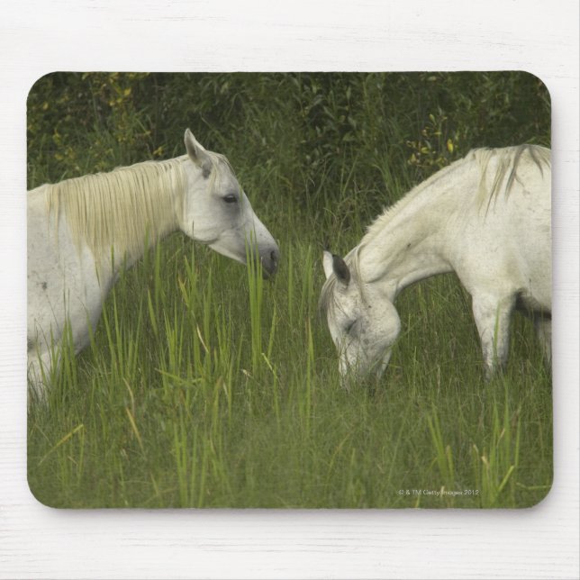 Tapis De Souris Deux chevaux mangeant de l'herbe (Devant)
