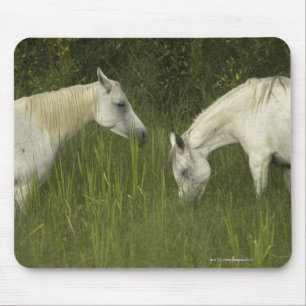 Tapis De Souris Deux chevaux mangeant l'herbe