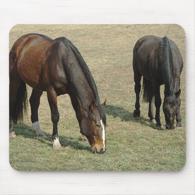 Tapis De Souris Deux chevaux - Mousepad (Devant)