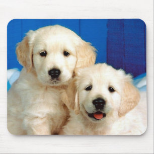Tapis De Souris Deux chiots de Labrador