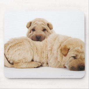 Tapis De Souris Deux chiots de Shar Pei dormant, tir de studio