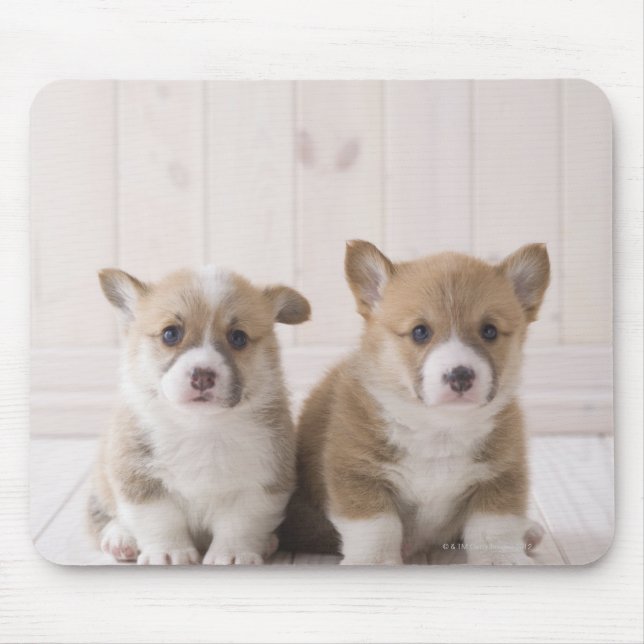 Tapis De Souris Deux Corgi gallois assis (Devant)