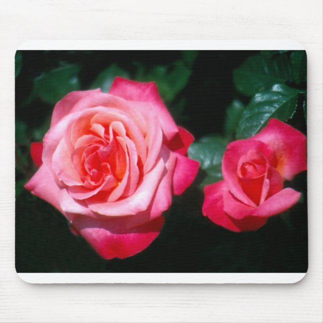 Tapis De Souris Deux fleurs roses du Jubilé d'argent (Devant)