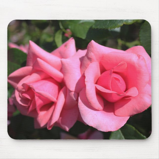 Tapis De Souris deux fleurs roses roses chaudes. (Devant)