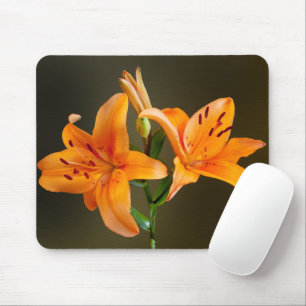 Tapis De Souris Deux Lillies et bourgeons de tigre orange