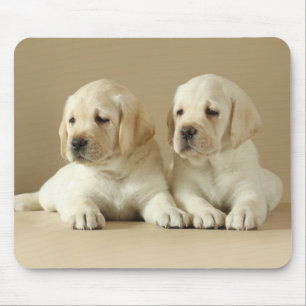 Tapis De Souris Deux Marionnettes Golden Labrador