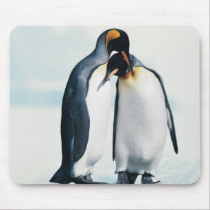 Tapis De Souris Deux pingouins affectueux