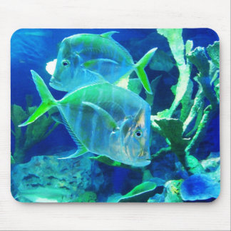 Tapis De Souris Deux poissons bleus