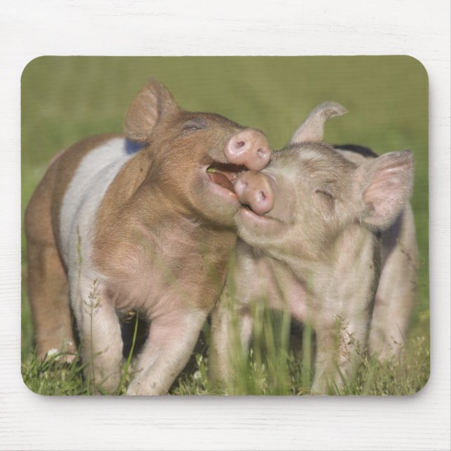 Tapis De Souris Deux porcelets heureux (Devant)