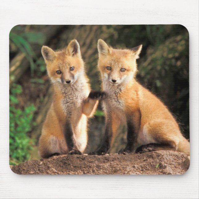Tapis De Souris Deux Pups Red Fox devant leur Den (Devant)
