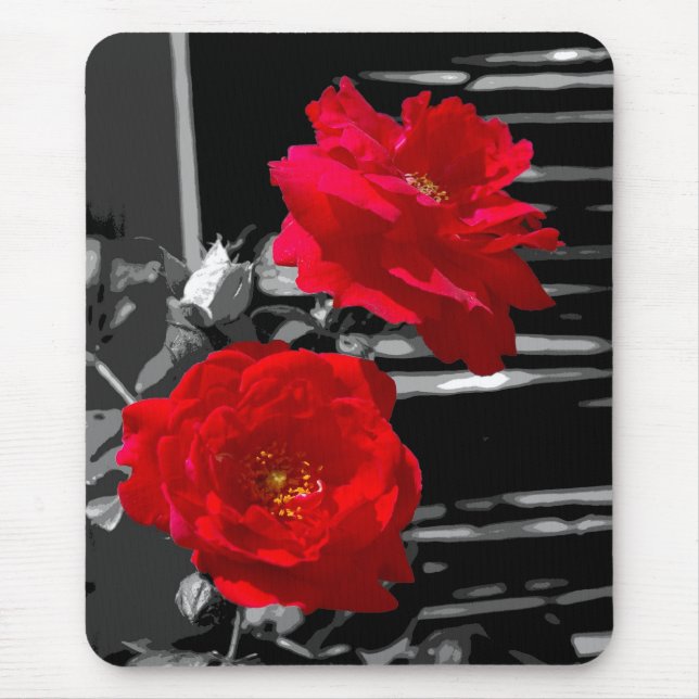 TAPIS DE SOURIS DEUX ROSES ROUGES (Devant)