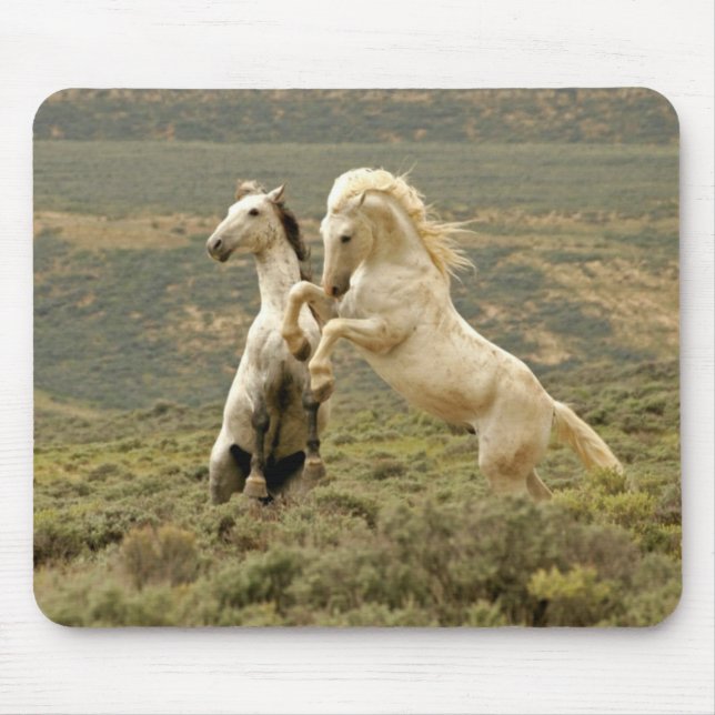 Tapis De Souris Deux Stallions sauvages combattent (Devant)