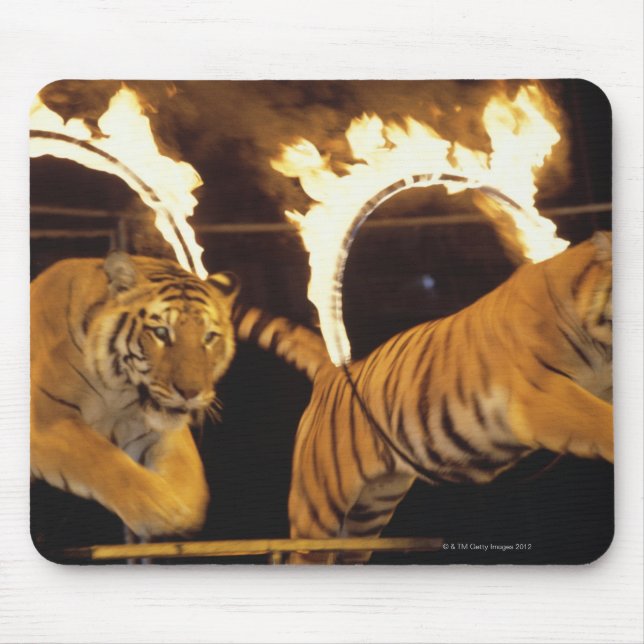 Tapis De Souris Deux tigres sautant par des cernes de feu brûlants (Devant)