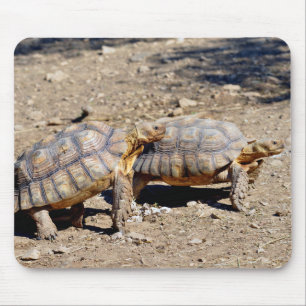 Tapis De Souris Deux tortues sulcata marchant sur le sol