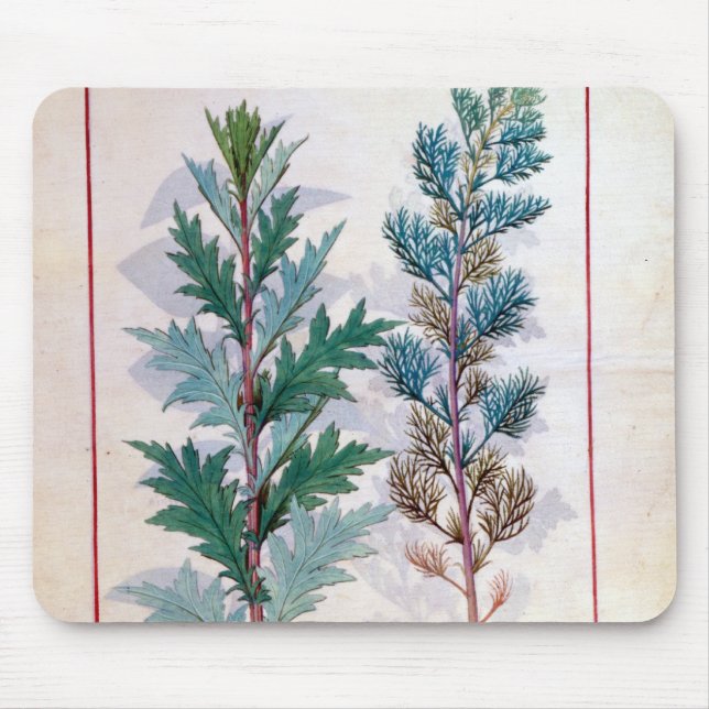 Tapis De Souris Deux variétés d'Artemesia (Devant)