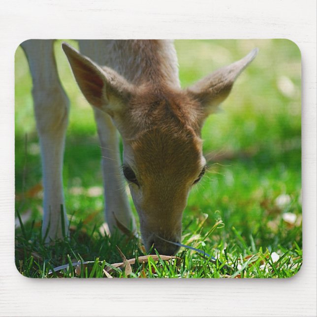 Tapis De Souris Devenez écolo pour Deer Antelope (Devant)