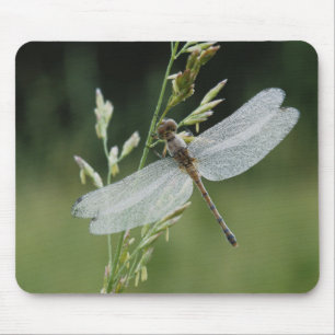 Tapis De Souris Dew couvert Darner Dragonfly