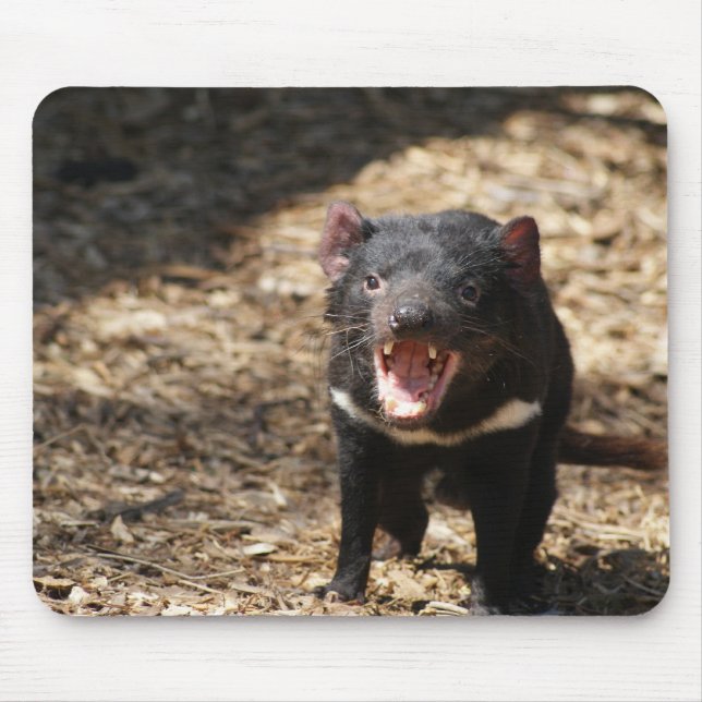 Tapis De Souris Diable tasmanien (Devant)