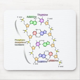Tapis De Souris Diagramme de la structure chimique de l'ADN sur ta