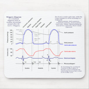 Tapis De Souris Diagramme de Wiggers