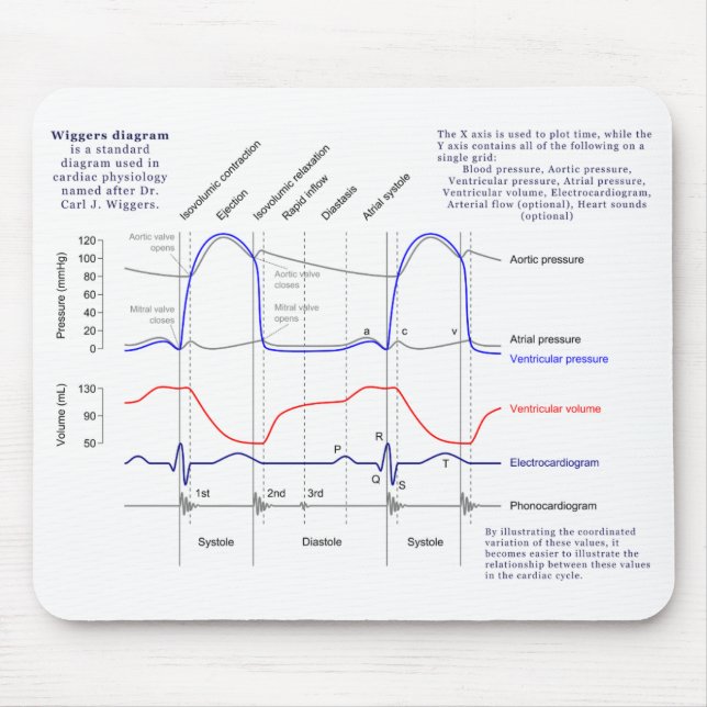 Tapis De Souris Diagramme de Wiggers (Devant)
