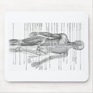 Tapis De Souris Diagramme humain d'anatomie