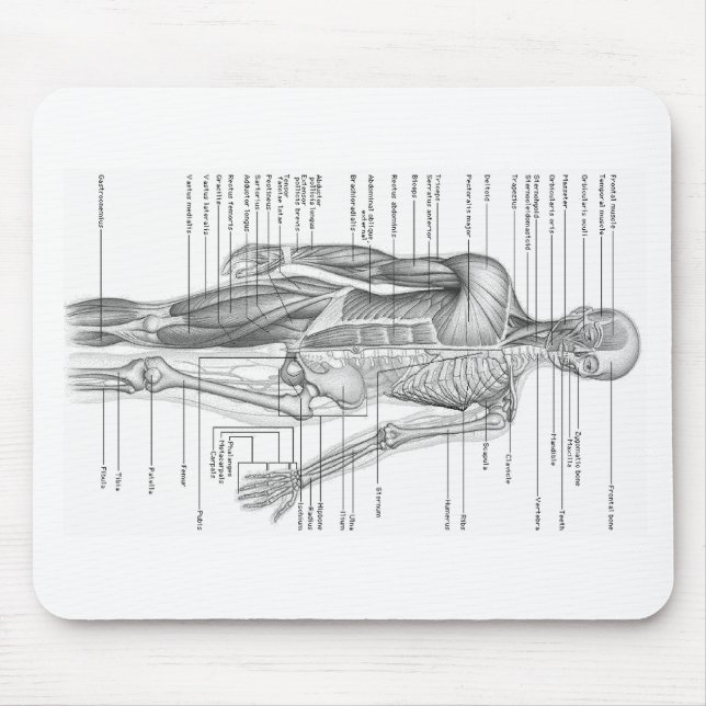 Tapis De Souris Diagramme humain d'anatomie (Devant)
