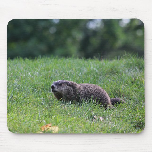 Tapis De Souris Digger de trou du diable (Devant)
