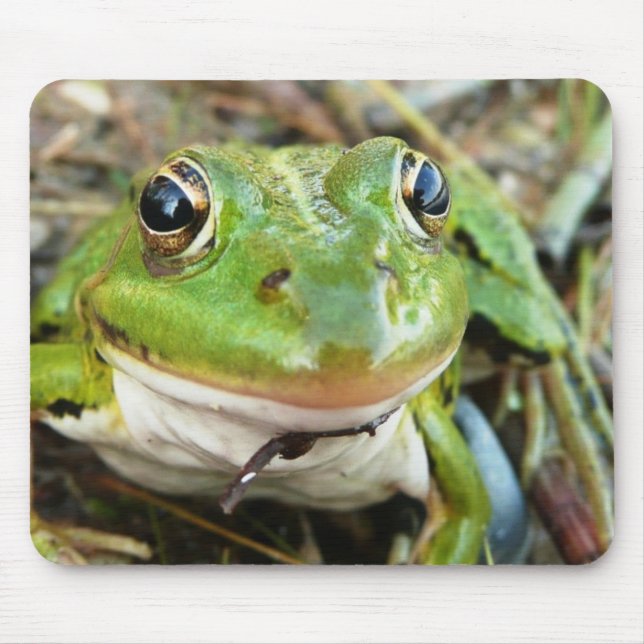 Tapis de souris d'images de grenouille (Devant)