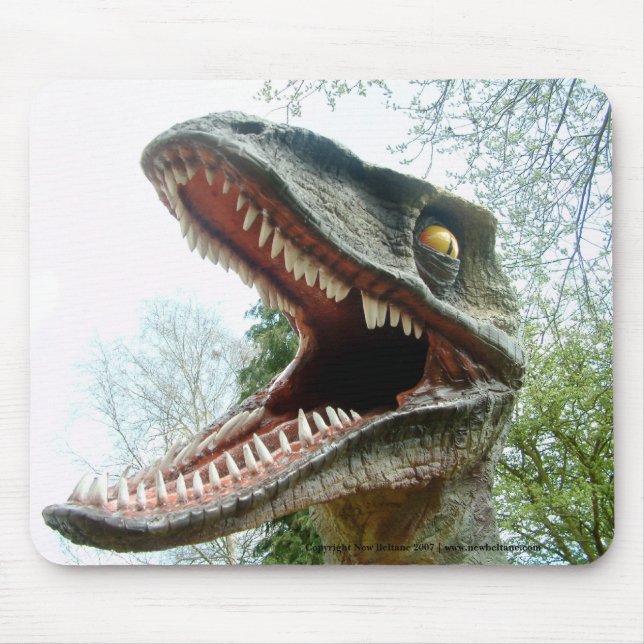 Tapis de souris Dinosaur (Devant)