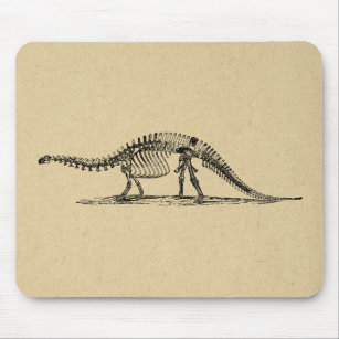Tapis De Souris Dinosaur Skeleton Vintage Art