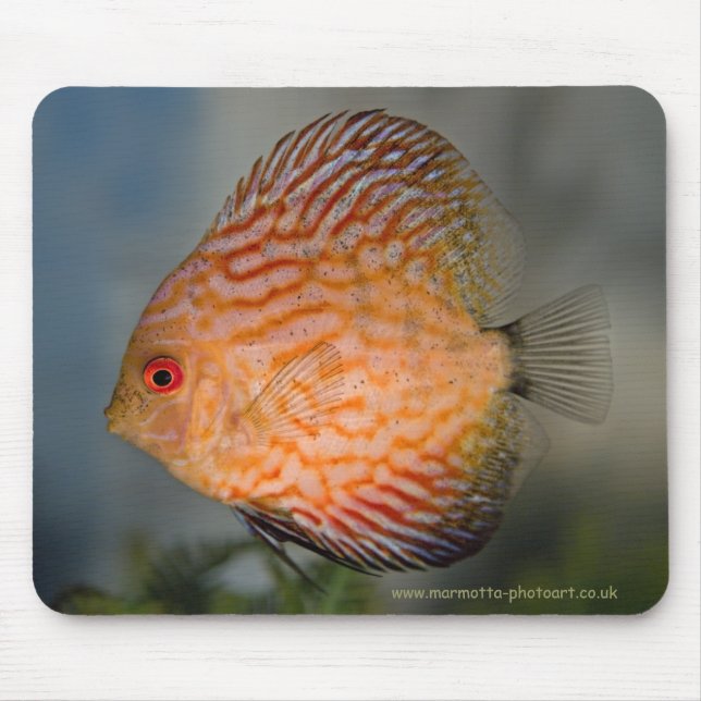 Tapis de Souris Discus Pierre Pigeon (Devant)
