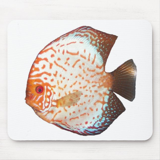 Tapis De Souris Disque (Devant)