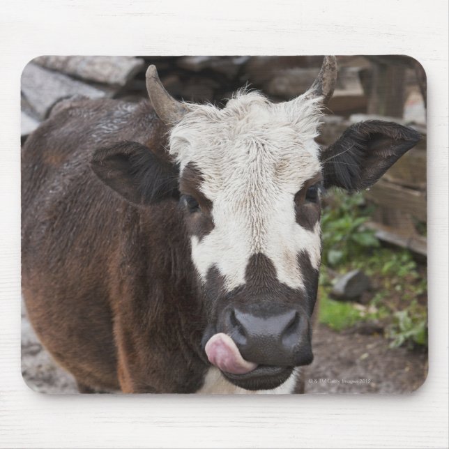 Tapis De Souris district de punakha bhutan (Devant)