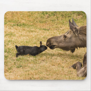 Tapis De Souris Diversité