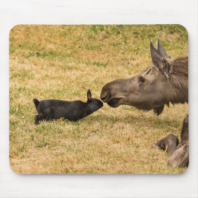 Tapis De Souris Diversité (Devant)