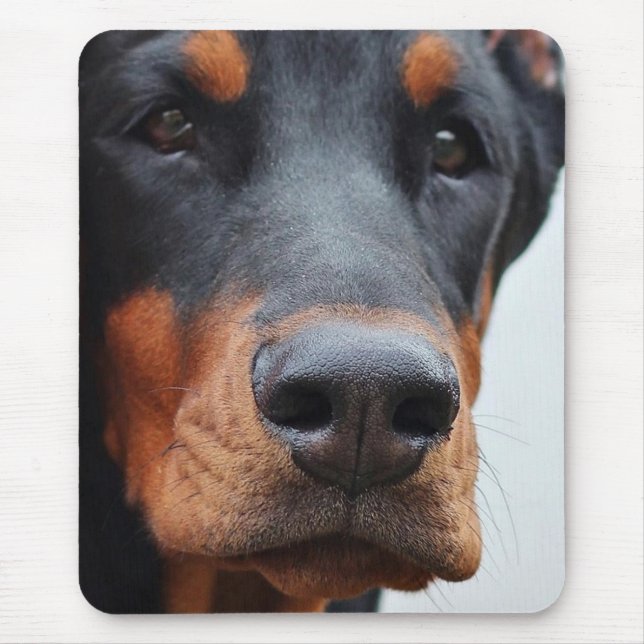 Tapis De Souris Doberman Pinscher (Devant)