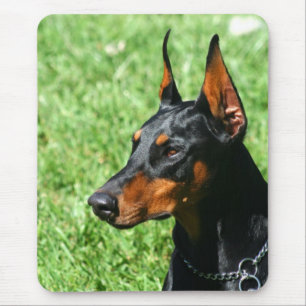 Tapis De Souris Doberman Pinscher