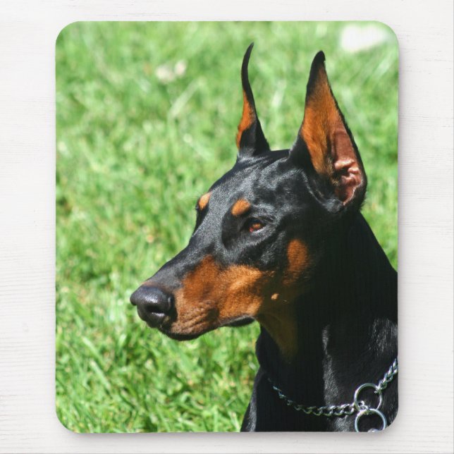 Tapis De Souris Doberman Pinscher mousepad (Devant)