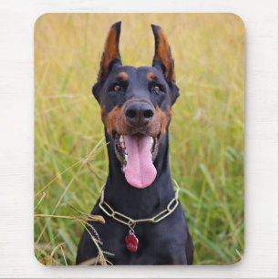 Tapis De Souris Doberman Pinscher noir et tan