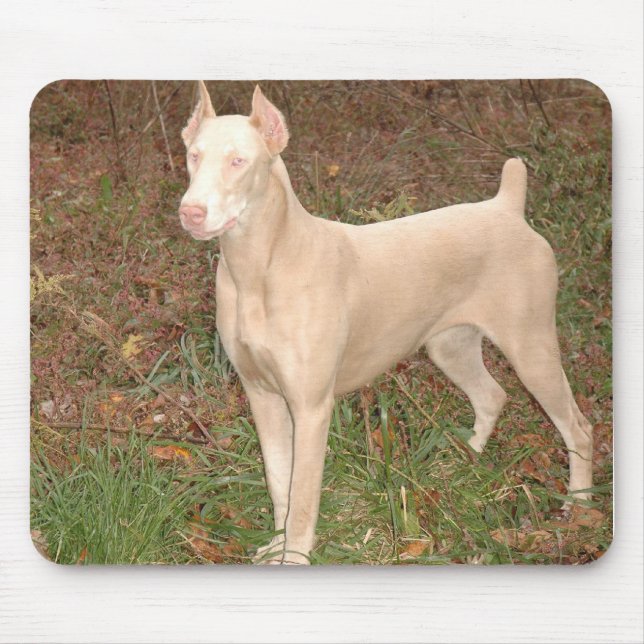 Tapis De Souris dobermann blanc (Devant)