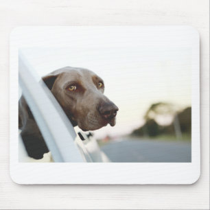 Tapis De Souris Dog with head out of a car window
