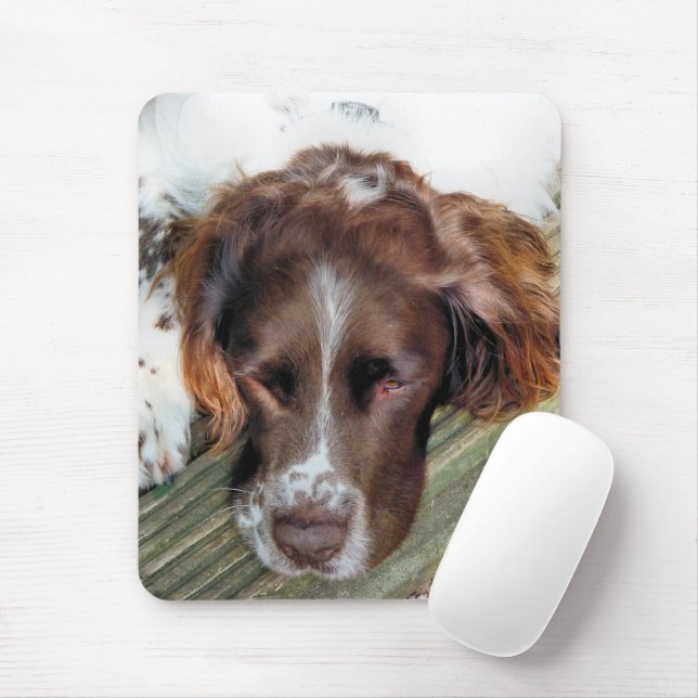 TAPIS DE SOURIS DOGS (Avec souris)