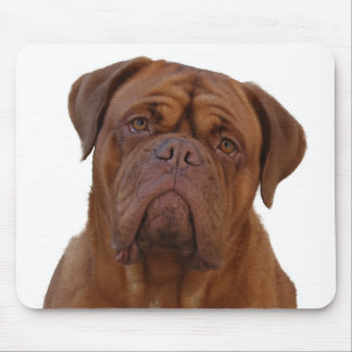 Tapis De Souris Dogue de Bourdeaux