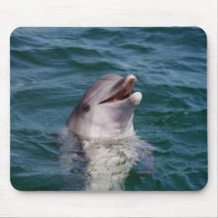 Tapis De Souris Dolfin