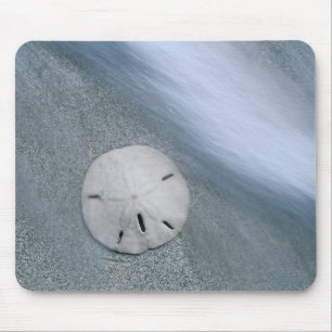 Tapis De Souris Dollar de sable sur la plage Île de Sanibel, Flo