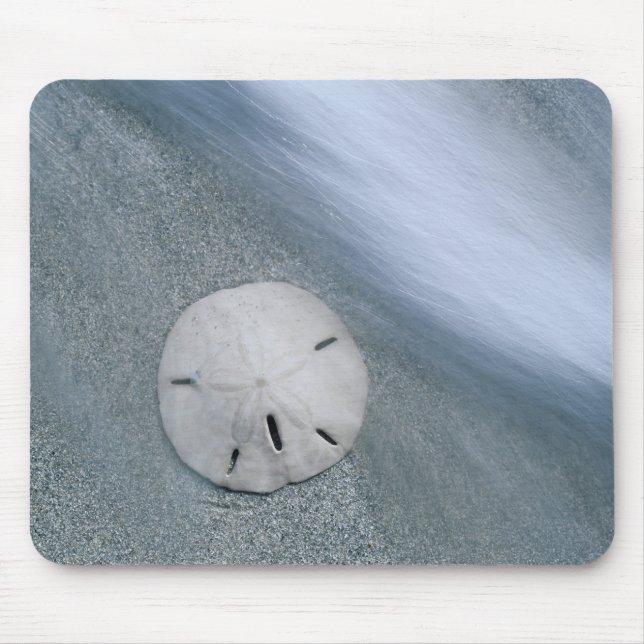 Tapis De Souris Dollar de sable sur la plage | Île de Sanibel, Flo (Devant)