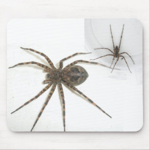 Tapis De Souris Dolomedes Femme & Homme Mousepad